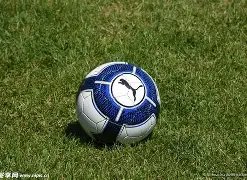 帕尔默进球,助切尔西击,败纽卡斯尔,开云体育,开云体育官网,开云体育app,开云体育app下载